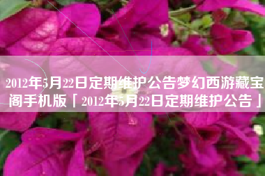 2012年5月22日定期维护公告梦幻西游藏宝阁手机版「2012年5月22日定期维护公告」